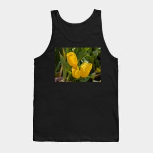 Three Yellow Tulips Tank Top